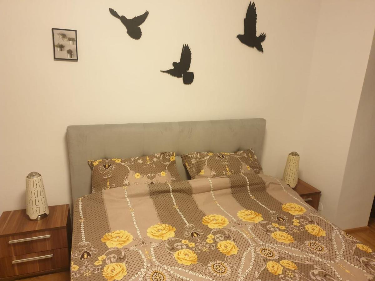 براشوف Lucky Residence II المظهر الخارجي الصورة
